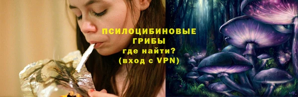 ешки Осинники