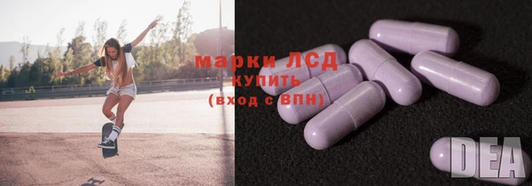 ГАЛЛЮЦИНОГЕННЫЕ ГРИБЫ Абаза