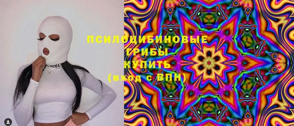 ГАЛЛЮЦИНОГЕННЫЕ ГРИБЫ Абаза
