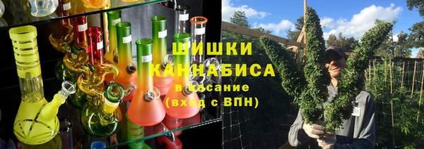ГАЛЛЮЦИНОГЕННЫЕ ГРИБЫ Абаза